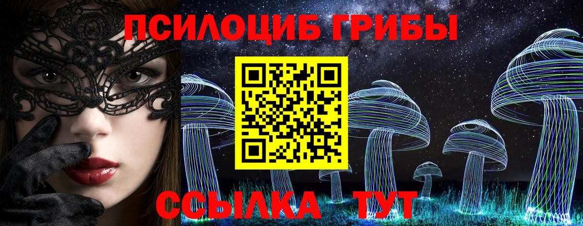Каменск-Шахтинский  Псилоцибиновые грибы Psilocybe  Вход с VPN 